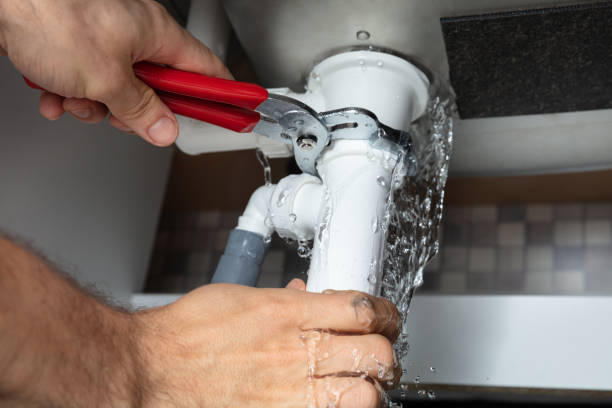Best Professional water damage repair  in Maywood, CA