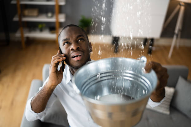 Best Water damage cleanup near me  in Maywood, CA
