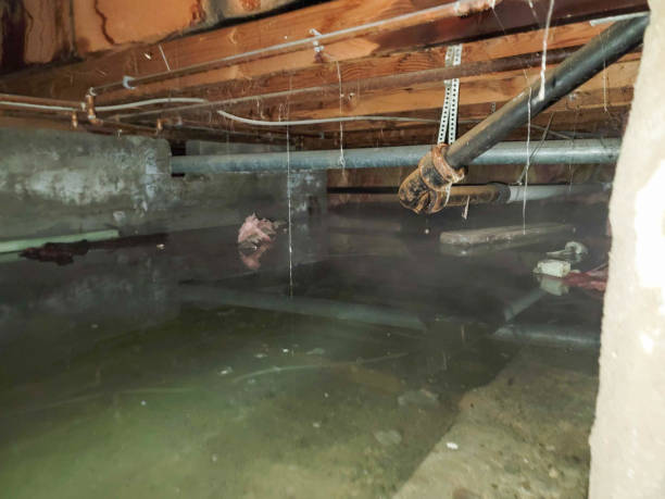 Best Water damage restoration experts  in Maywood, CA