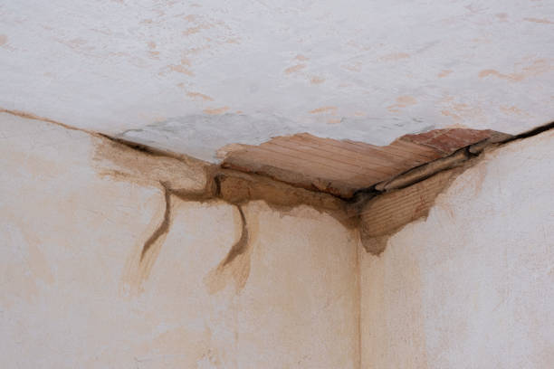 Best Water damage restoration near me  in Maywood, CA