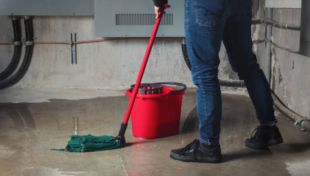 Best Mold removal after water damage  in Maywood, CA