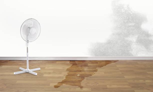Best Water damage restoration near me  in Maywood, CA