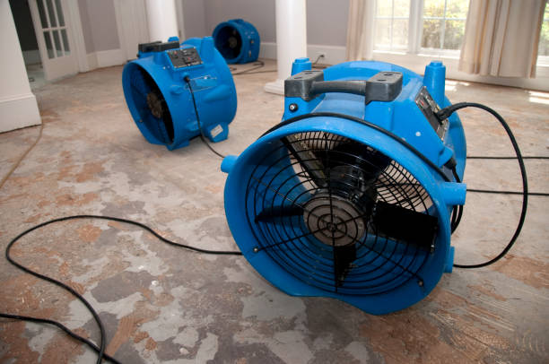 Best Water damage restoration near me  in Maywood, CA