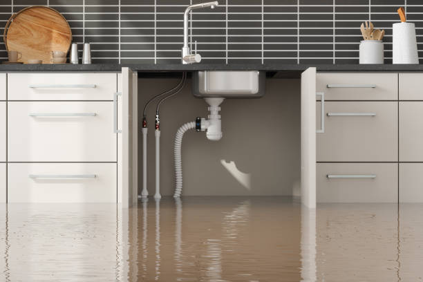 Best Flooded house restoration  in Maywood, CA