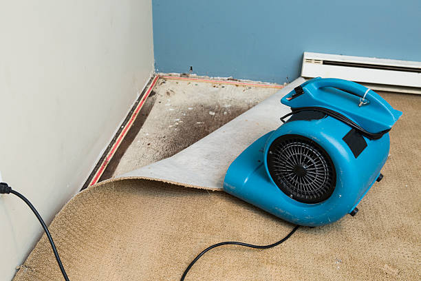 Water damage restoration insurance claims in Maywood, CA